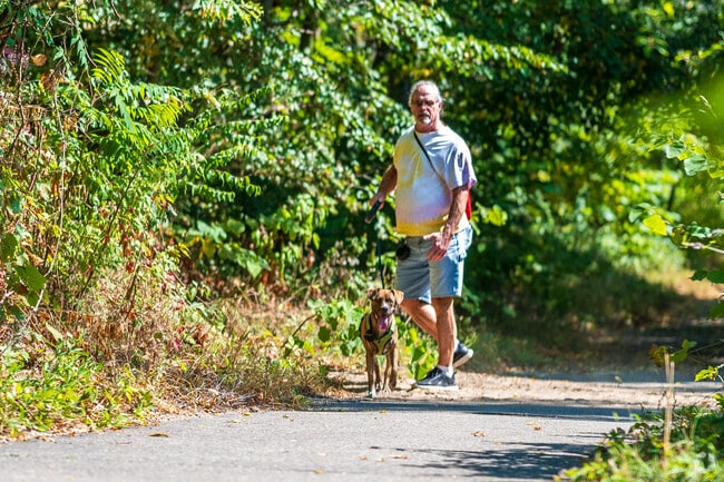 Spring Valley Park, one of Kalamazoo's largest parks, is perfect for dog walking near Eastwood.