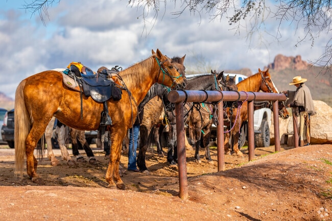 Meet majestic horses and ride through history at Goldfield Ghost Town in Apache Junction.