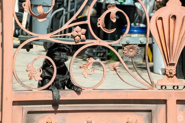 Some residents surround their Shadow Hills homes in brightly colored fencing.