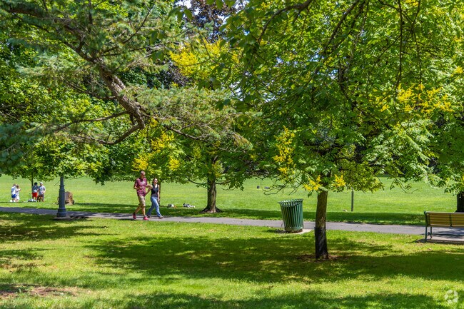 Anderson Park serves as a vibrant hub where individuals unite, fostering a strong sense of community in the Montclair area in New Jersey.