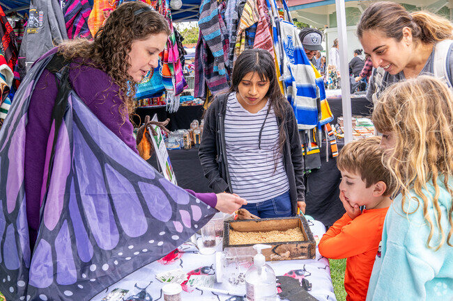 You can learn about flys and touch fly larva at the Insect Festival.