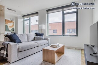 1212 4th St SE Unit FL5-ID911, Washington, DC 20003