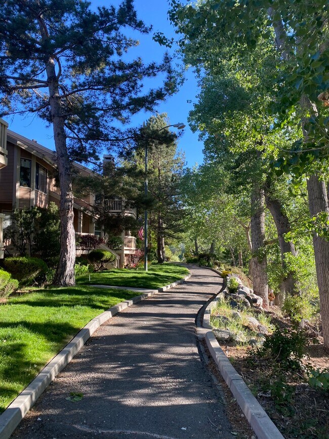 2875 Idlewild Dr unit 12, Reno, NV 89509 - photo 4