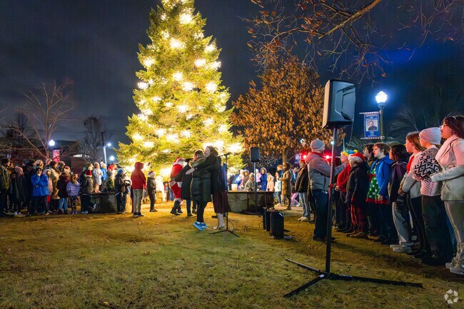 Celebrate the season at Braintree's Festival of Trees with hot chocolate and fun festivitie.