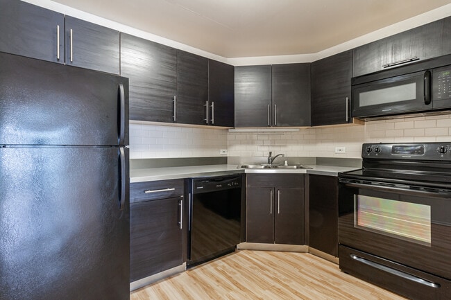 1120 N La Salle Dr unit 3P, Chicago, IL 60610 - photo 4