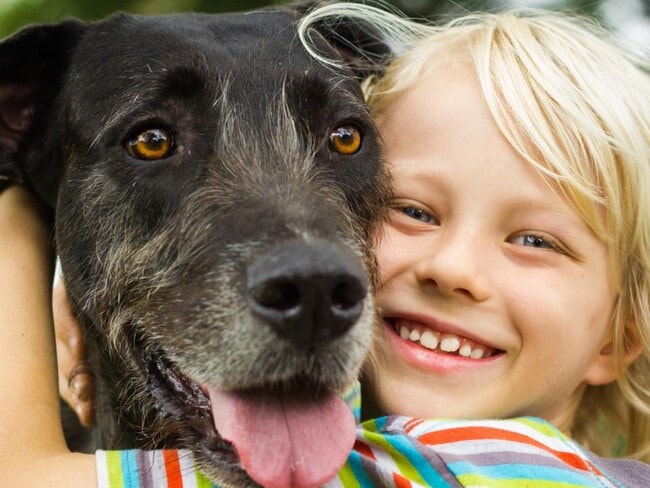 Your dog will love the sidewalk lined streets and big backyards.