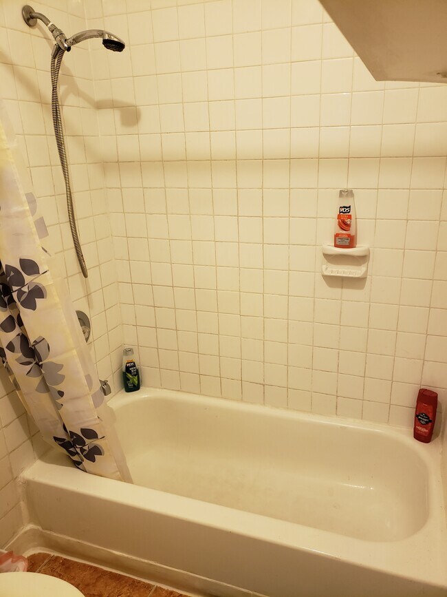 827 Briggs St, West Palm Beach, FL 33405 - photo 6