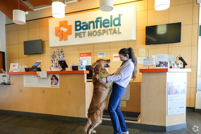 Banfield Pet Hospital in Little Rocky Run will take care of your pup.