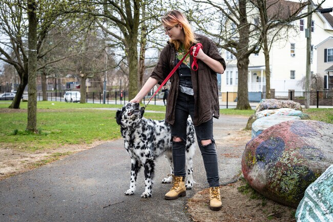Take a stroll with your canine and soak up the sunshine at Richardson Park in Providence.