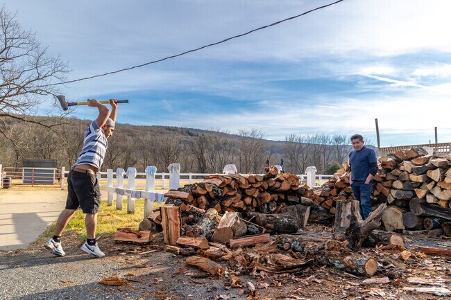 Using firewood in the colder months is a common practice in Green Township.