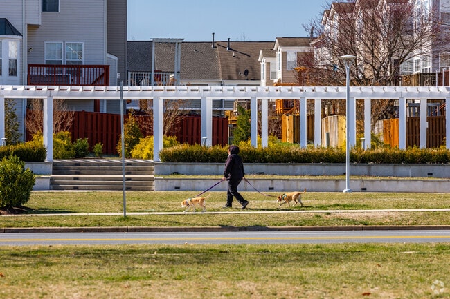Your pups will love long walks through South Riding to Veterans Park.