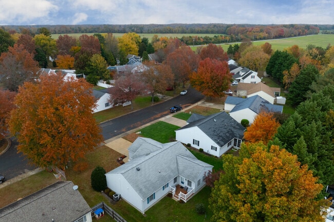 Queenstown’s modest homes offer comfort and affordability for families.