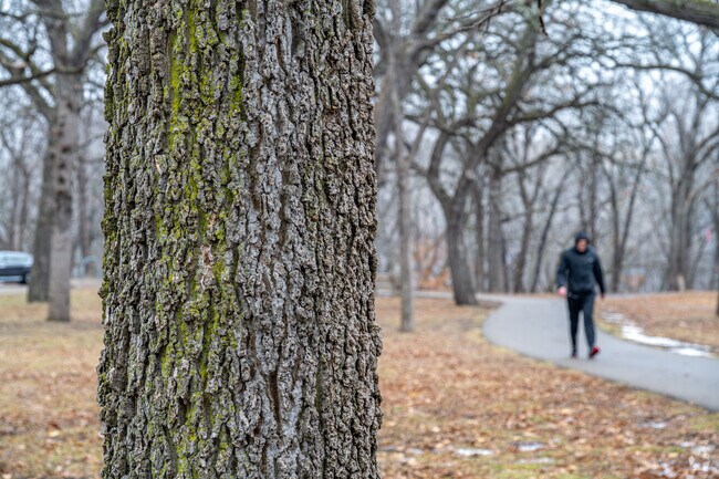 Along the river, large Oak trees line the walking paths in Howe.