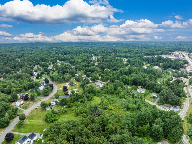 Even in the heart of Plaistow, you're never too far away from a wooded area.