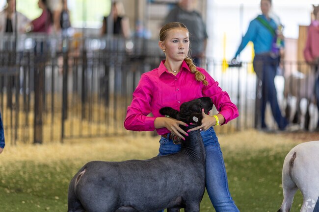 4-H animal shows is a big part of the warren County fair in the Turtlecreek Township area.