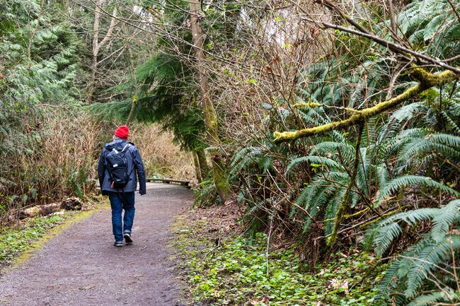 Trails run throughout Carkeek Park in Crown Hill.