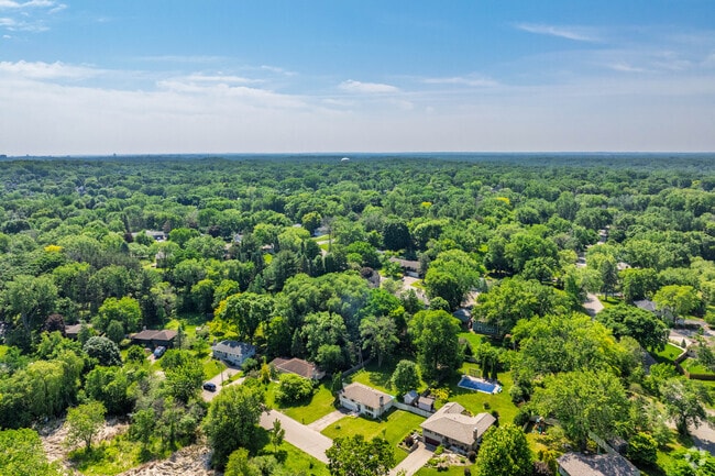 Mature trees provide natural shade throughout Spring Hill Park, where large lots offer space for pools and gardens while maintaining the quiet residential character families cherish.