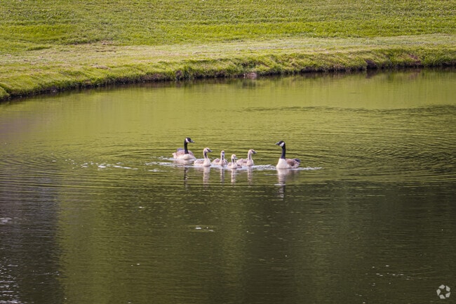 Poplar Estates is a great place to raise a family.