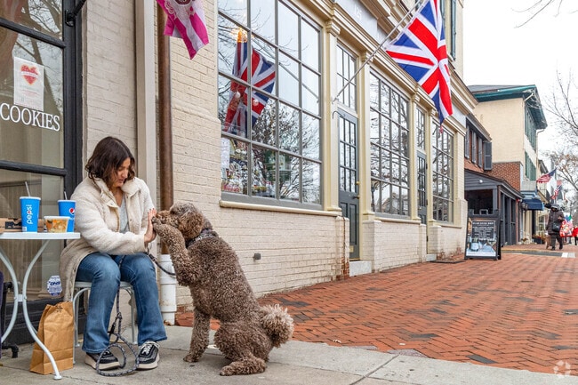 Enjoy plenty of outdoor dining so you can have lunch with your furry pal in Haddonfield.