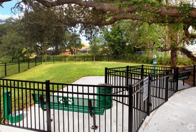 Dog Park