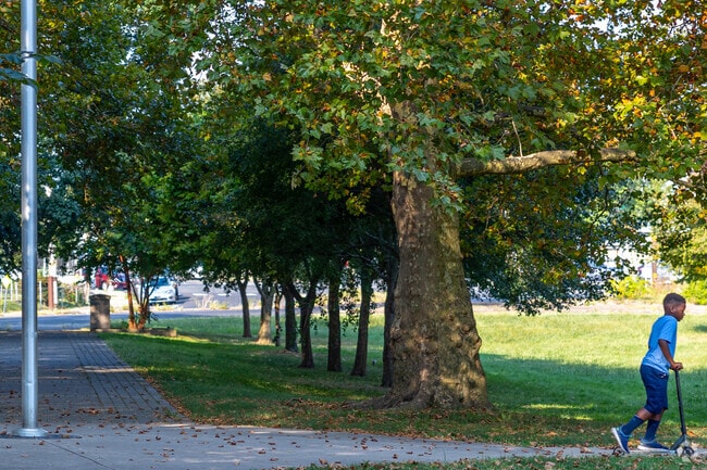Elmwood Park's paths provide a convenient shortcut through Penrose.