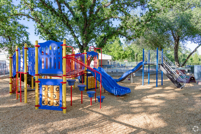 Kids love the play equipment at Turtle Bay School.
