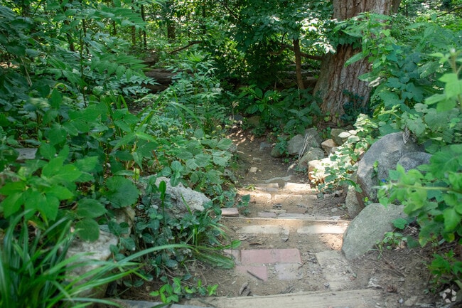 Foundry Branch Valley Park in Foxhall offers miles of scenic walking trails.