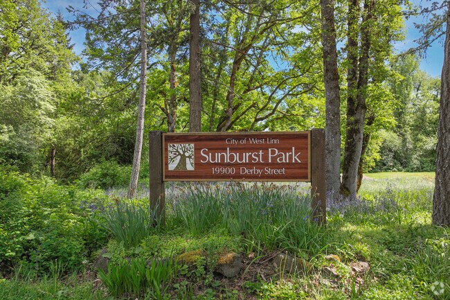Sunburst Park fratures a basketball court in Hidden Springs.