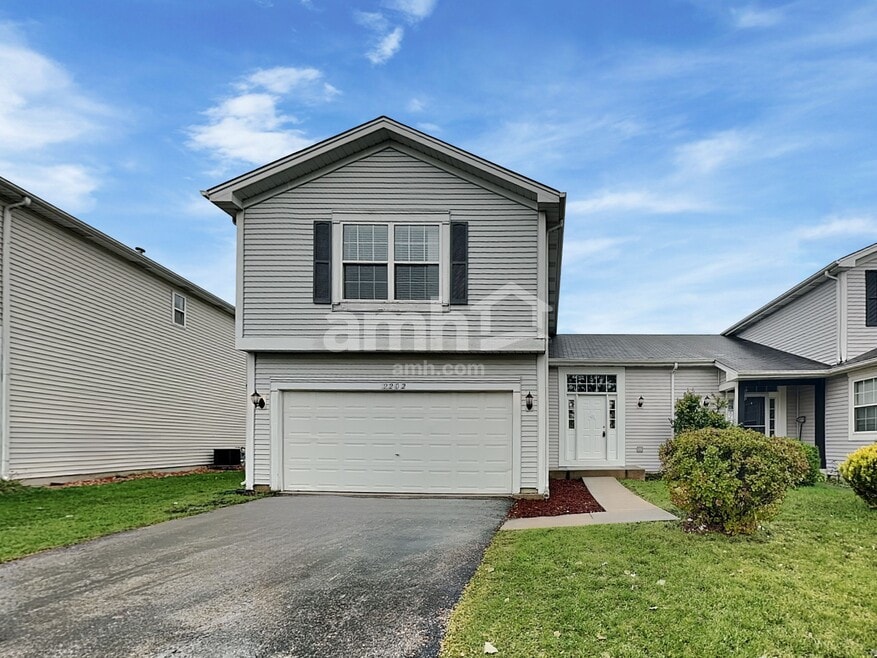 2202 Henning Place, Plainfield, IL 60586 - photo 1