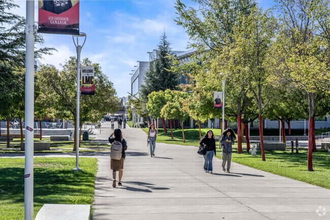 Discover diverse programs and pathways at Los Medanos College for a brighter future.