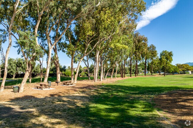 You will find wide-open green spaces throughout the neighborhood.