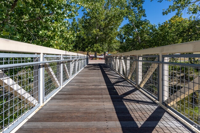 The Trails Skatepark and Recreation Center is a popular spot for locals in Piney Creek.