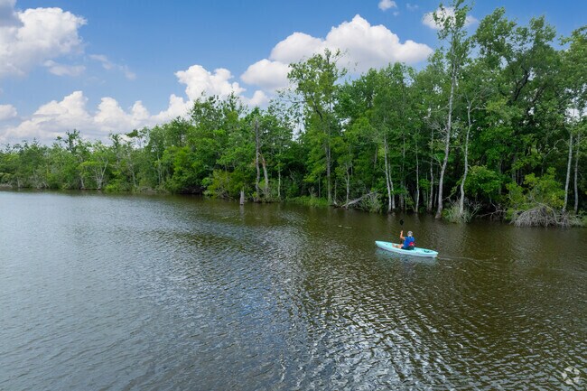 Paddling from Schwarz Park in Devonshire is a serene experience where you can enjoy nature.