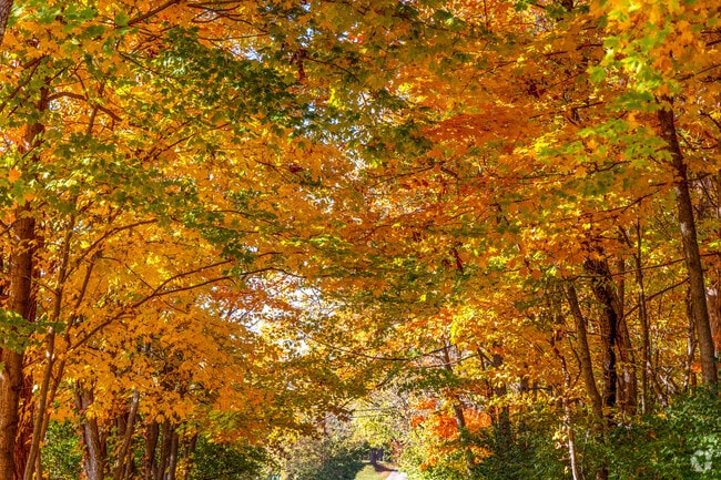 Fall colors take your breath away in the Gleneagles neighborhood.
