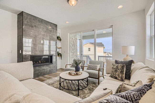 13741 Daffodil Point, Parker, CO 80134 - photo 4