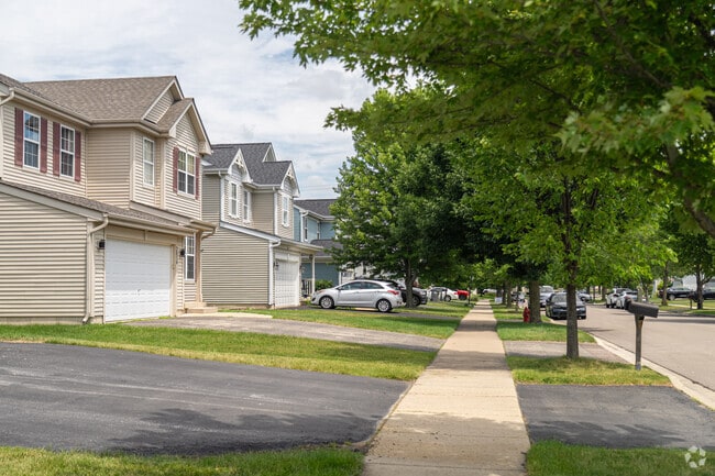 Elongated driveways stretch out to clean and well-maintained roads in South Montgomery, IL.