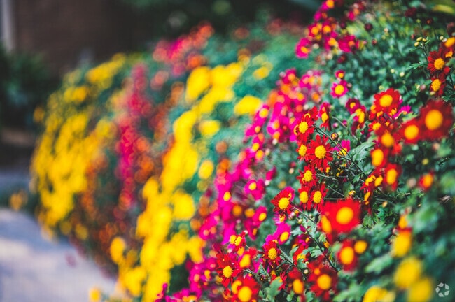 Bellingrath Gardens and Home features a floral treat for Plantation residents.