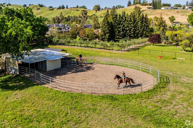 It's common to see residents of Bucktown riding horses.