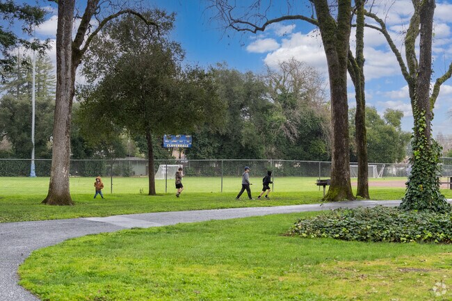 Children play along the forest edge at  City Park.