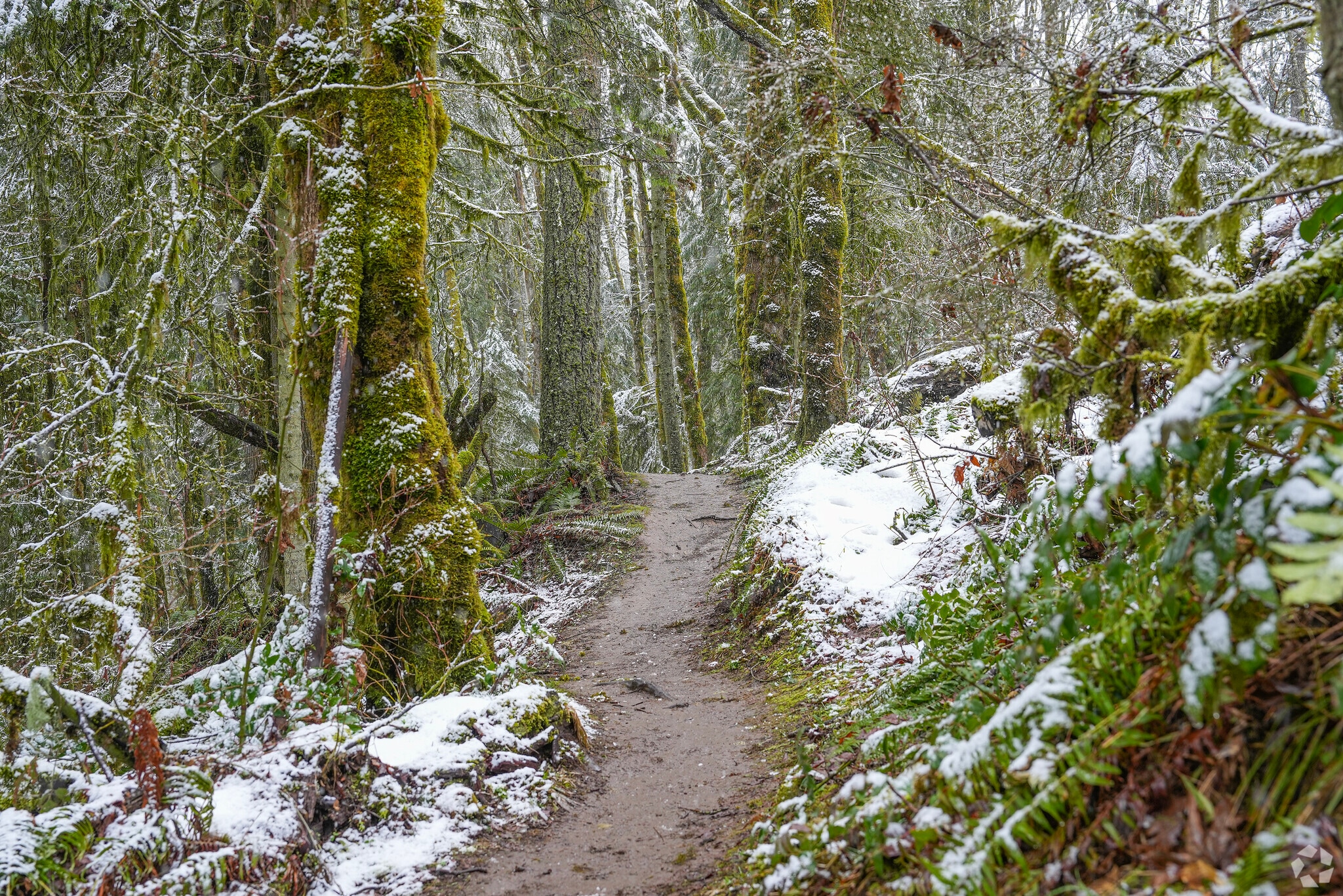 There are miles of hiking trails in Forest Park that can be accessed all year.