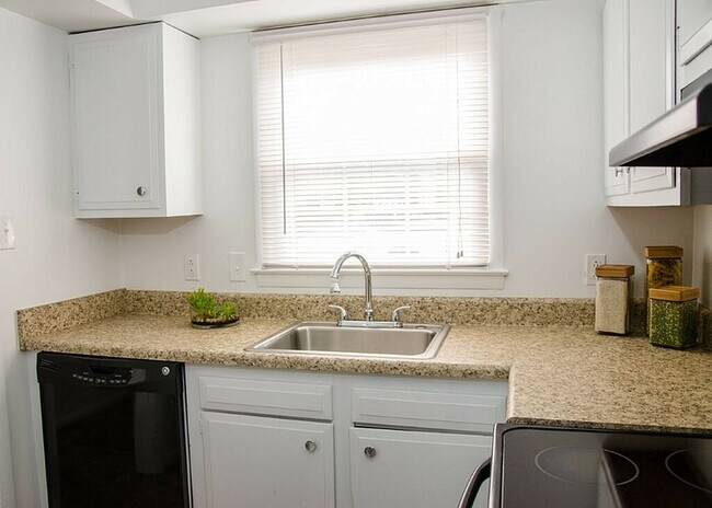 Buckingham Place, Norfolk, VA 23508 - photo 5