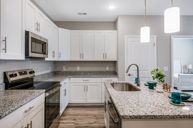 Emerson Point, Elon, NC 27244 - photo 3