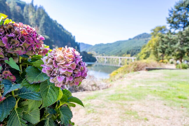 The locals keep beautiful gardens in the Scottsburg neighborhood