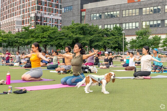Meet new furry friends at Yoga on the Waterfront.