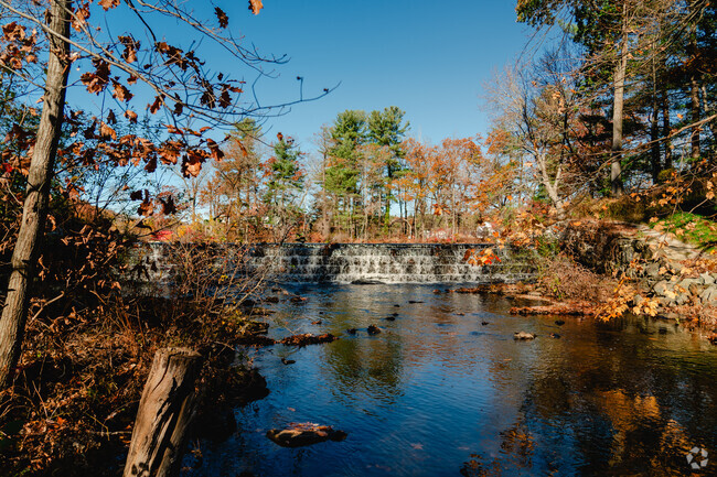 The calming waterfall sounds of Patch Pond come from these stepped stones.