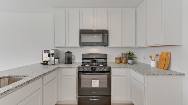 424 Back Country Dr, Little Elm, TX 75068 - photo 2