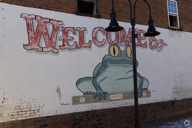 Waynesville's Frog level historic district suffered flooding leaving damages from Helene.