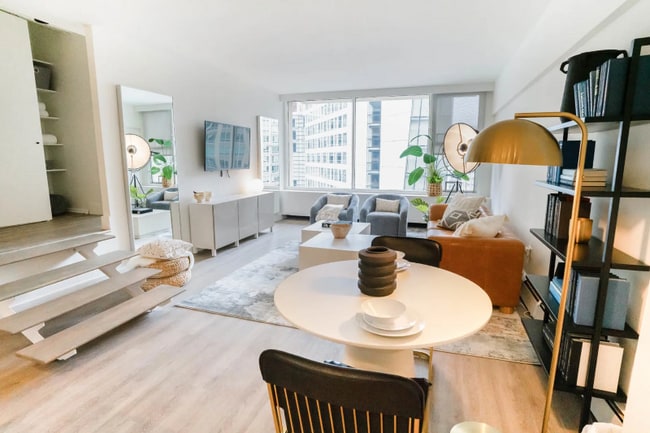 29 E Chestnut St, Chicago, IL 60611 - photo 4