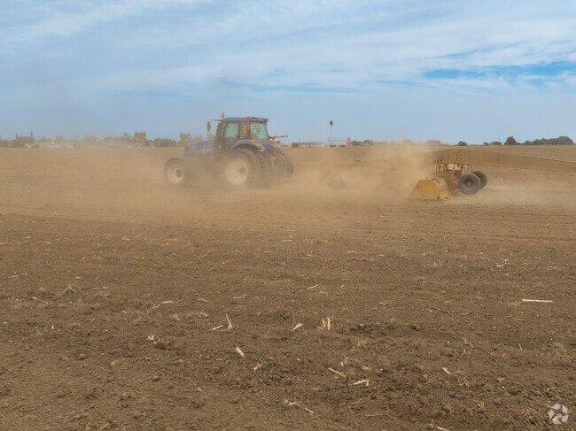 Fields near Gustine showcase the region’s thriving dairy and nut farming community.