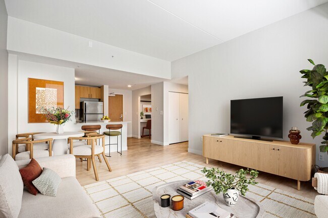 James and Harrison Court, Boston, MA 02118 - photo 3